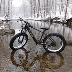Professional Electric Bike For Adults, 26 X 4.0 Inches Fat Tire Electric Mountain Bicycle, 1000W Motor 48V 15Ah Ebike For Trail Riding, Excursion And Commuting