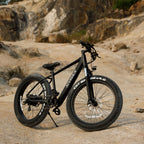 Professional Electric Bike For Adults, 26 X 4.0 Inches Fat Tire Electric Mountain Bicycle, 1000W Motor 48V 15Ah Ebike For Trail Riding, Excursion And Commuting