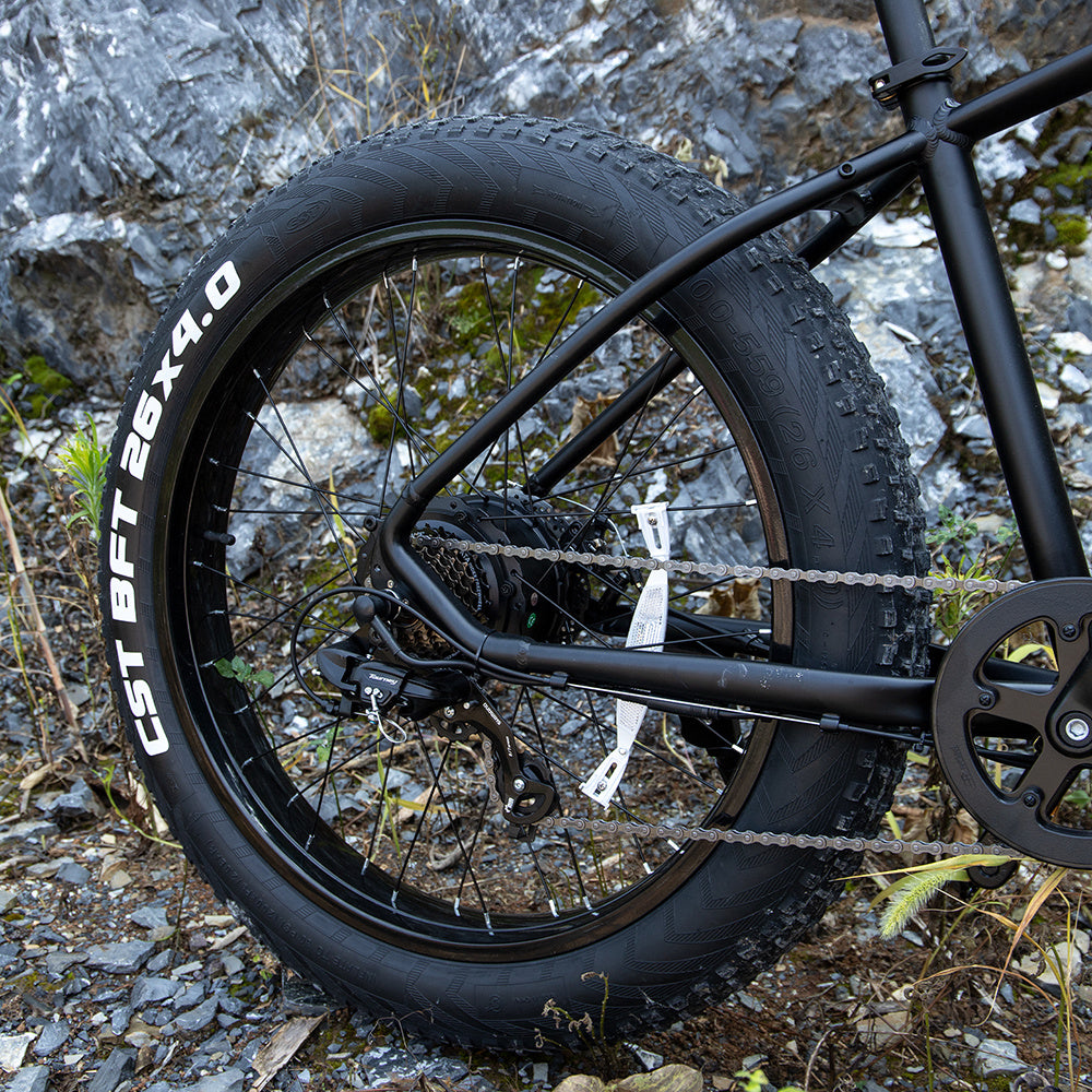 Professional Electric Bike For Adults, 26 X 4.0 Inches Fat Tire Electric Mountain Bicycle, 1000W Motor 48V 15Ah Ebike For Trail Riding, Excursion And Commuting